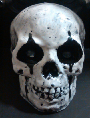 alice cooper skull